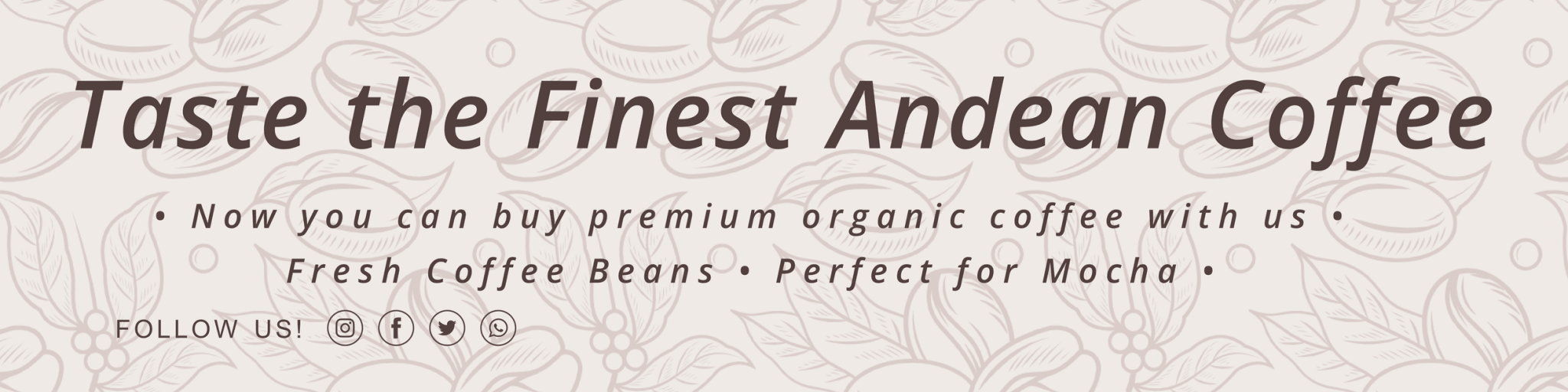 Taste the Finest Andean Coffee